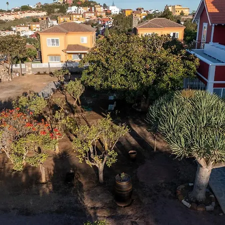 Albor * Santa Brigida (Gran Canaria)